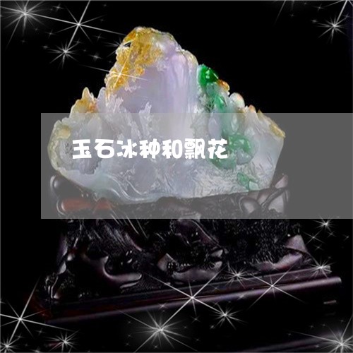 玉石冰种和飘花/2023081423615