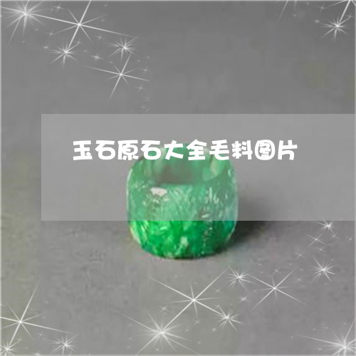 玉石原石大全毛料图片/2023092824925