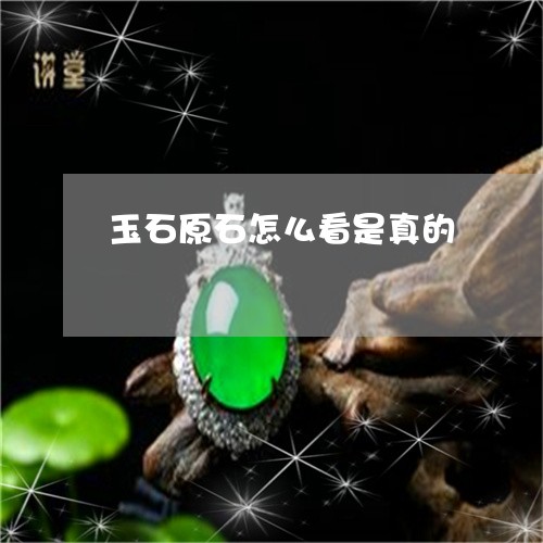 玉石原石怎么看是真的/2023092829159