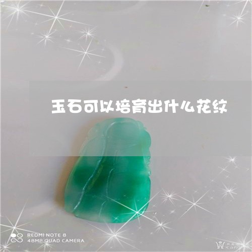 玉石可以培育出什么花纹/2023110267141