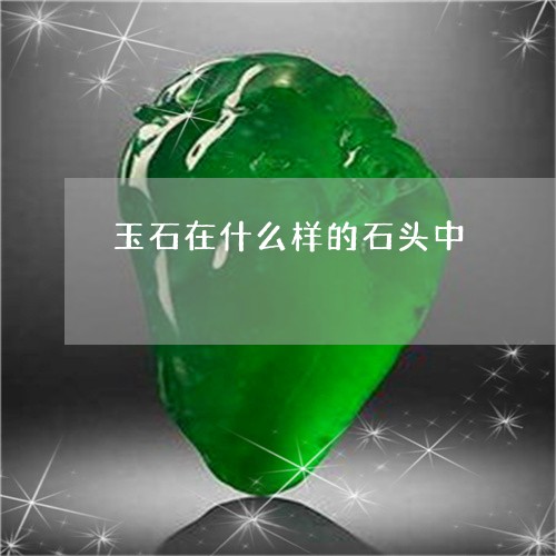 玉石在什么样的石头中/2023092834049