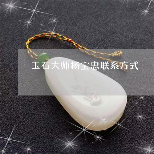 玉石大师杨宝忠联系方式/2023110325938