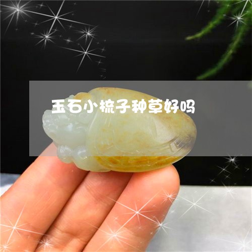 玉石小梳子种草好吗/2023093070693