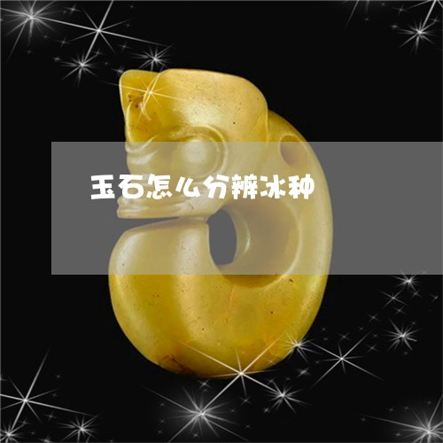 玉石怎么分辨冰种/2023071319250