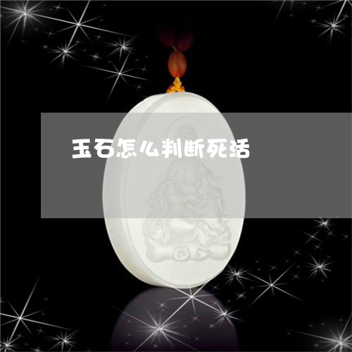 玉石怎么判断死活/2023071326249