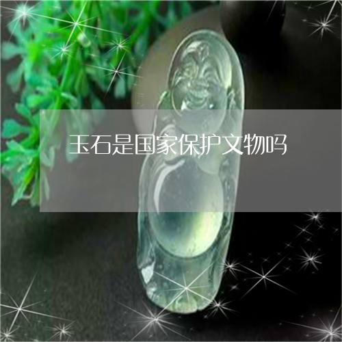 玉石是国家保护文物吗/2023110173173