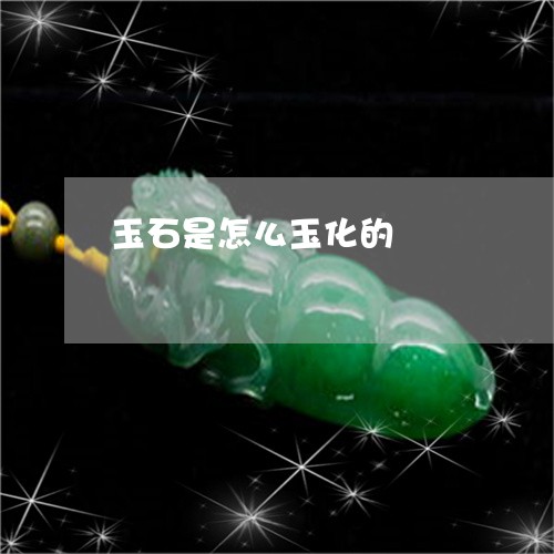 玉石是怎么玉化的/2023071341704