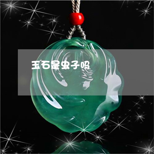 玉石是虫子吗/2023031625959