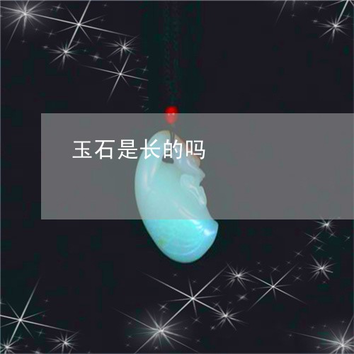 玉石是长的吗/2023031621926