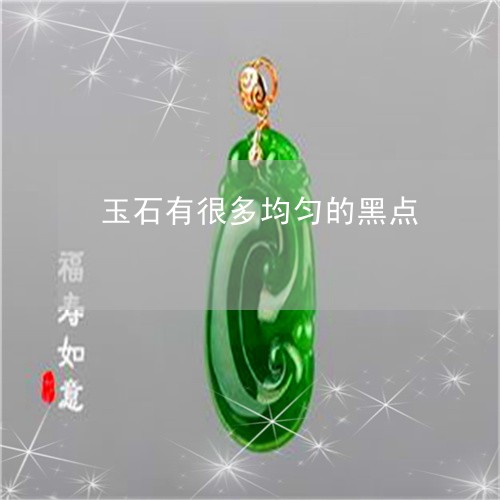 玉石有很多均匀的黑点/2023103138289