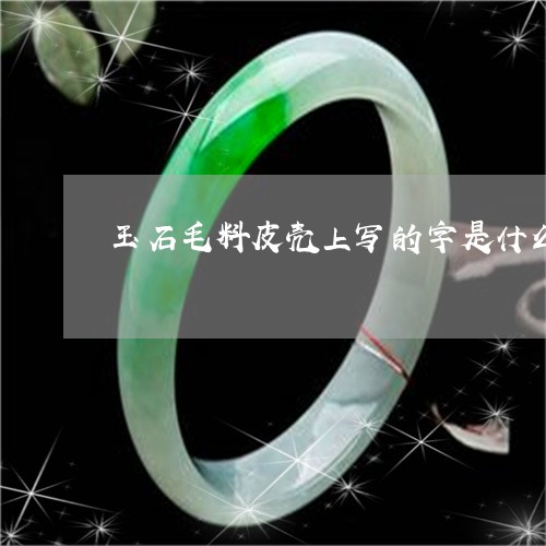 玉石毛料皮壳上写的字是什么意思/2023100663018