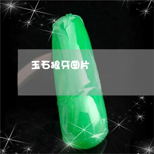 玉石狼牙图片/2023031696139