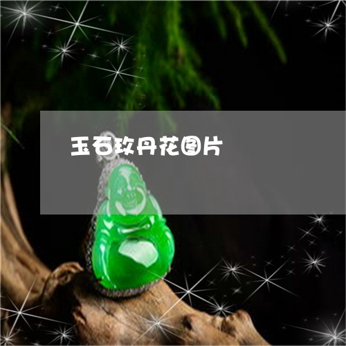 玉石玫丹花图片/2023081313046