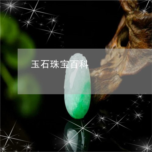 玉石珠宝百科/2023031640572