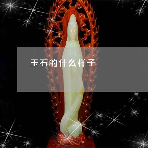 玉石的什么样子/2023081347684