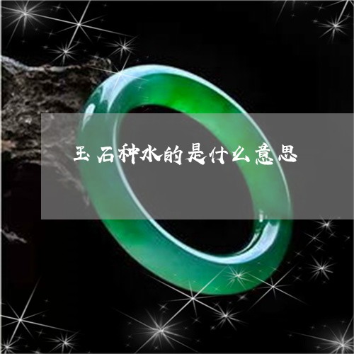 玉石种水的是什么意思/2023103126147