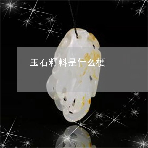 玉石籽料是什么梗/2023071236259