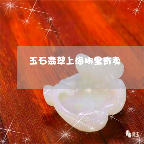 玉石翡翠上海哪里有卖/2023092736868