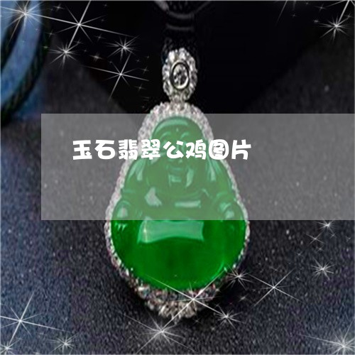 玉石翡翠公鸡图片/2023081161043