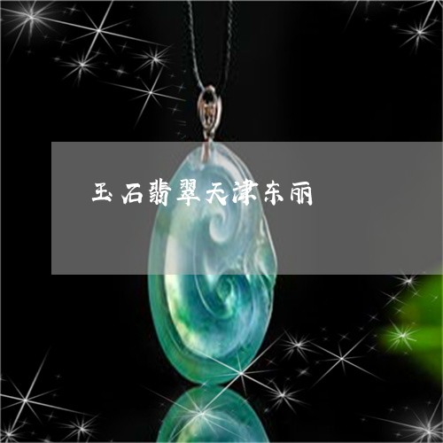 玉石翡翠天津东丽/2023061750693