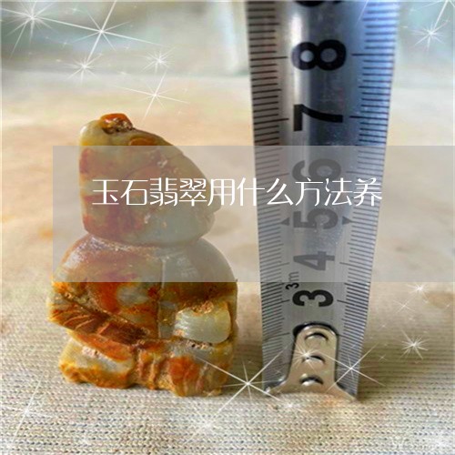 玉石翡翠用什么方法养/2023110102053