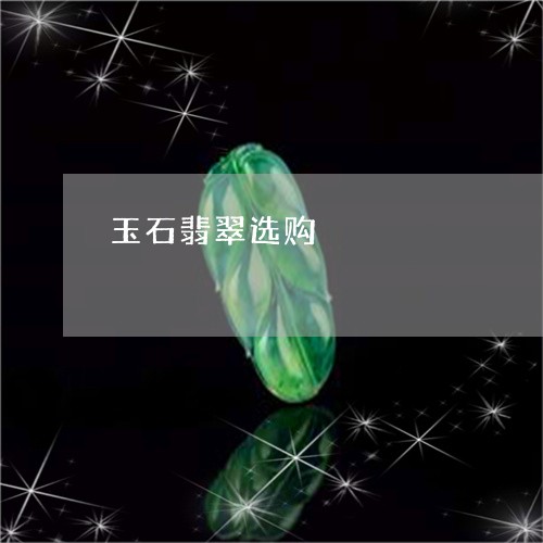 玉石翡翠选购/2023031617048