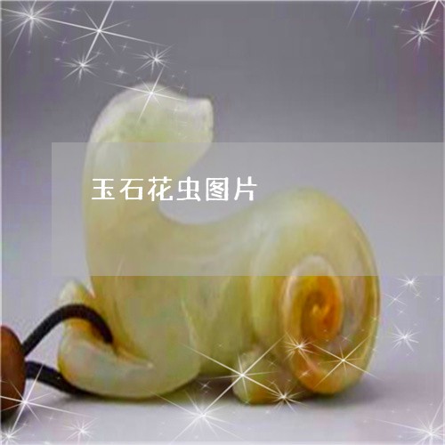 玉石花虫图片/2023031694049