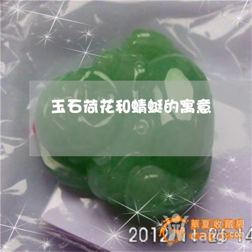 玉石荷花和蜻蜓的寓意/2023092720582