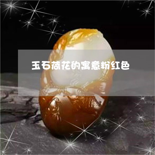 玉石荷花的寓意粉红色/2023103173048