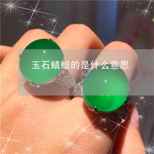 玉石蜻蜓的是什么意思/2023092783727