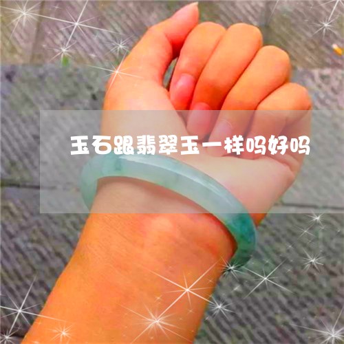 玉石跟翡翠玉一样吗好吗/2023071373025