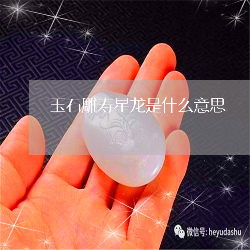 玉石雕寿星龙是什么意思/2023110249393