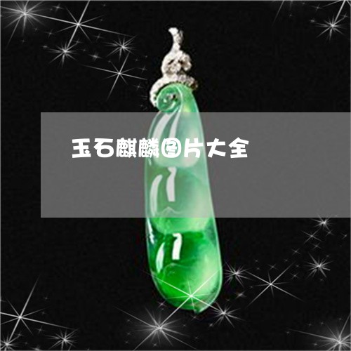 玉石麒麟图片大全/2023071201584