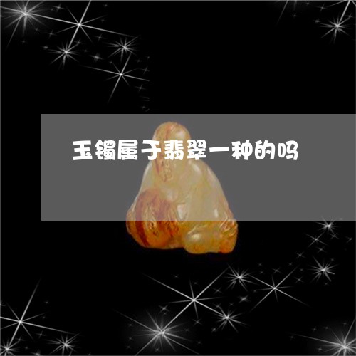 玉镯属于翡翠一种的吗/2023092138049