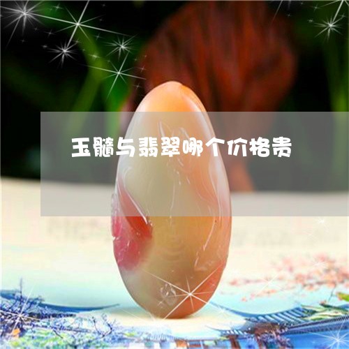 玉髓与翡翠哪个价格贵/2023103168460