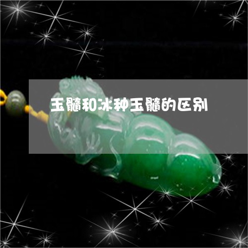 玉髓和冰种玉髓的区别/2023051195728