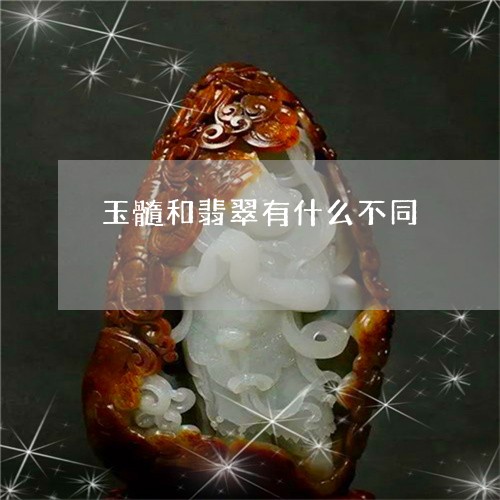 玉髓和翡翠有什么不同/2023092715926