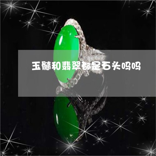 玉髓和翡翠都是石头吗吗/2023110189361