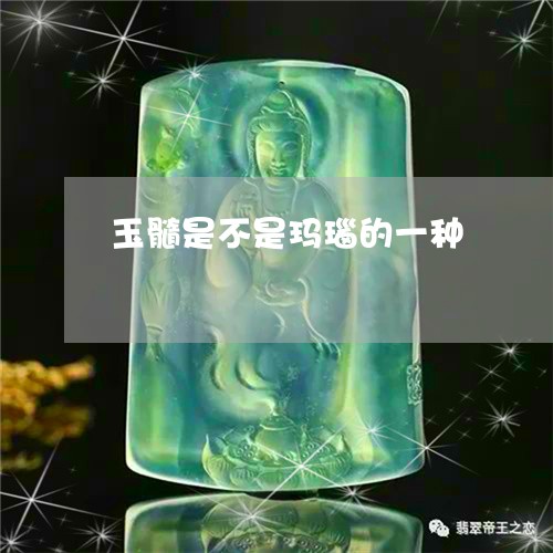 玉髓是不是玛瑙的一种/2023092781714