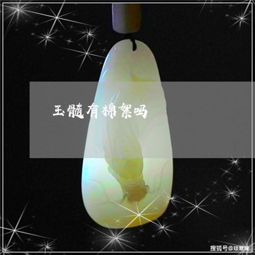 玉髓有棉絮吗/2023031693159