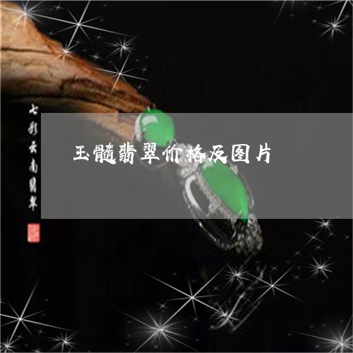 玉髓翡翠价格及图片/2023031680613