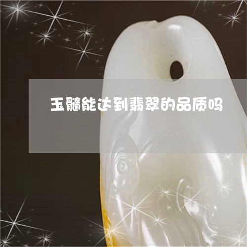 玉髓能达到翡翠的品质吗/2023062710473