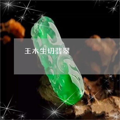 王木生切翡翠/2023060332697