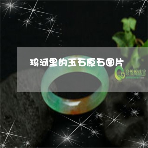 玛河里的玉石原石图片/2023092226140