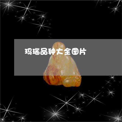 玛瑙品种大全图片/2023061570381