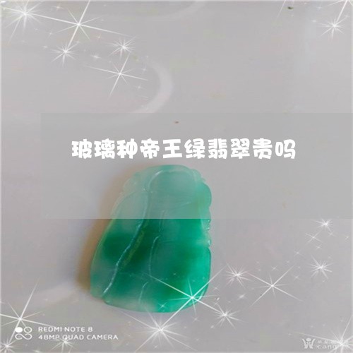 玻璃种帝王绿翡翠贵吗/2023092369383