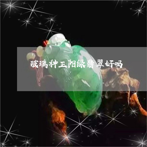 玻璃种正阳绿翡翠好吗/2023092641604