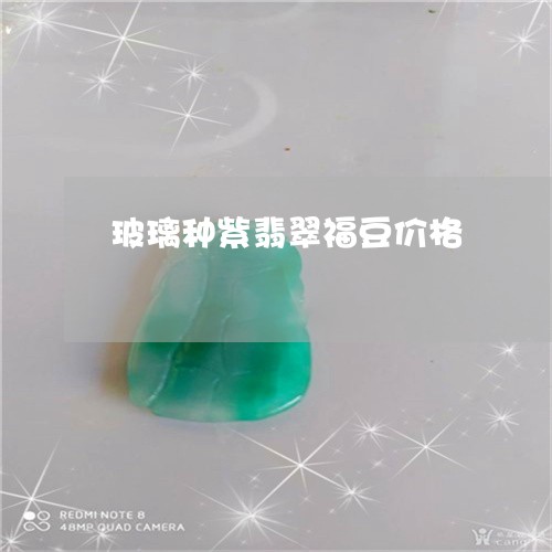 玻璃种紫翡翠福豆价格/2023092682705