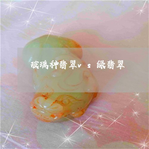 玻璃种翡翠vs绿翡翠/2023092696279