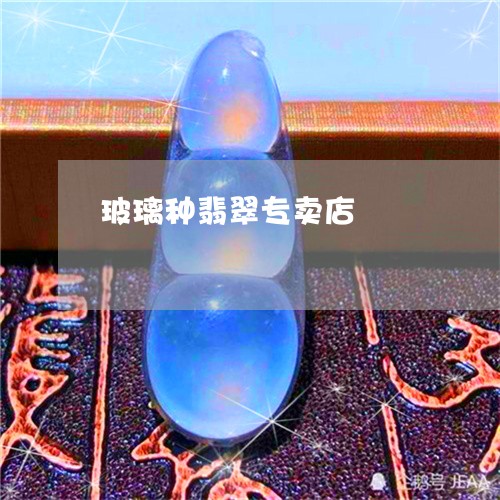 玻璃种翡翠专卖店/2023061471936